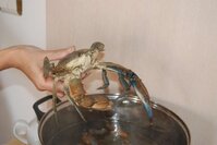 Вот такими они были....jpg