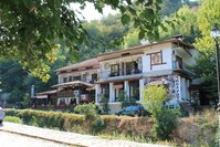 утопает в зелени.jpg