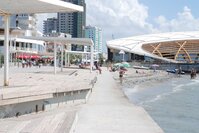 Деревянные настилы.jpg