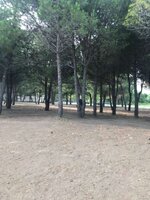 Черногория 13.JPG