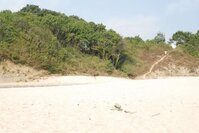 Белоснежный песок .jpg