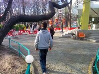 кечелька 018.jpg