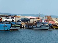 2013-08-06 11-46-39.JPG