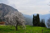 Изображение 498.jpg