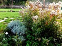 2014-11-01 16-15-53.JPG