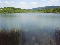 S4034154 (Small).JPG