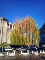 Картинка (1).jpg