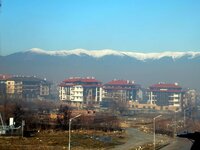 2013-12-29 14-16-46.JPG