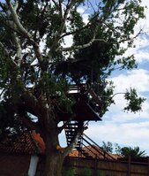 FullSizeRender (1).jpg