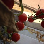 Изображение 581.jpg